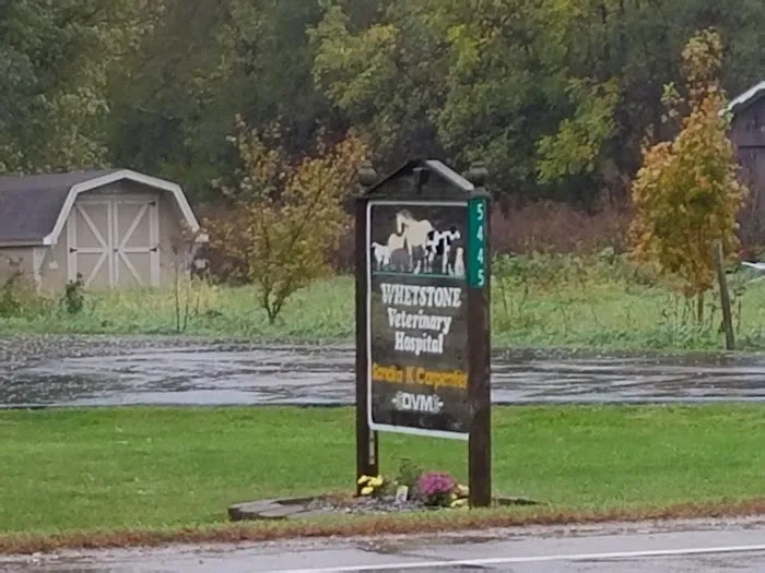Whetstone Veterinary Hospital Picture 3