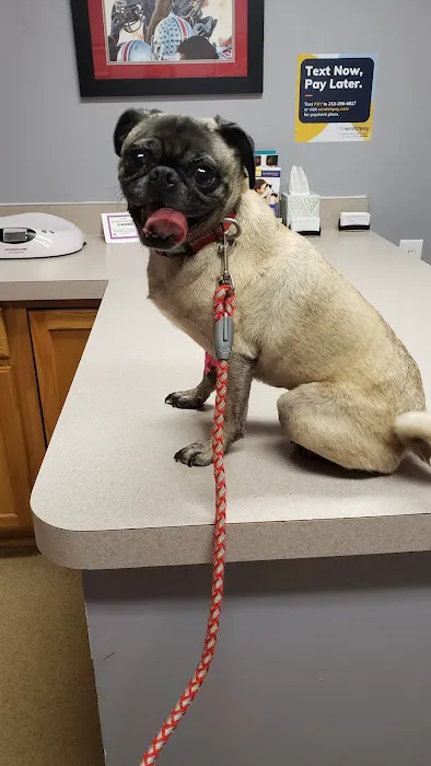 Animal Care Center of Tiffin Picture 5