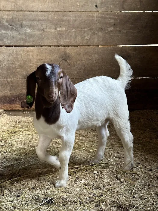 Countryside Veterinary Clinic Picture 7