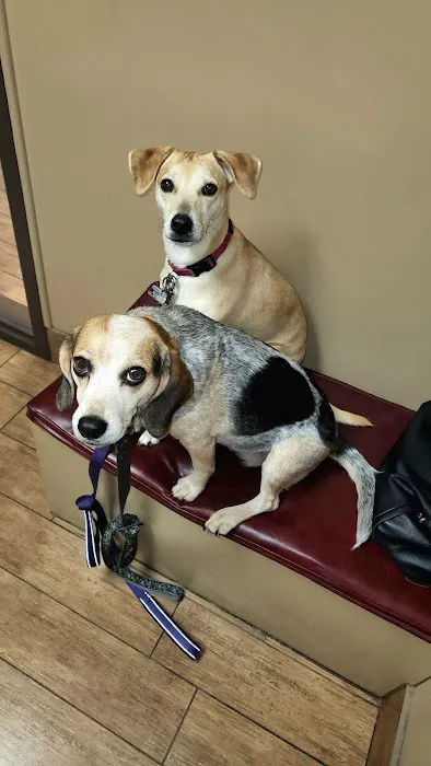 Westview Veterinary Hospital Picture 4
