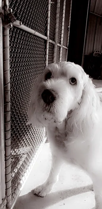 Oak Harbor Veterinary Hospital Picture 3