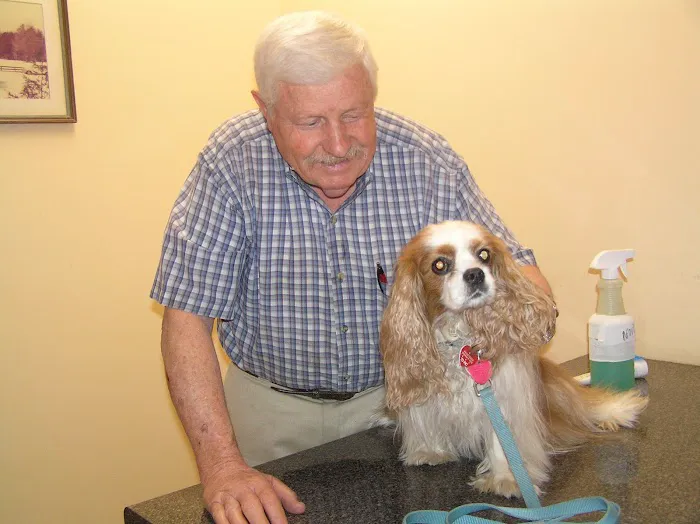Veterinary Consultants Inc Picture 7