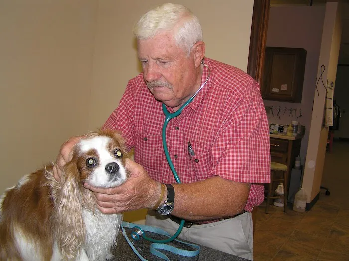 Veterinary Consultants Inc Picture 5