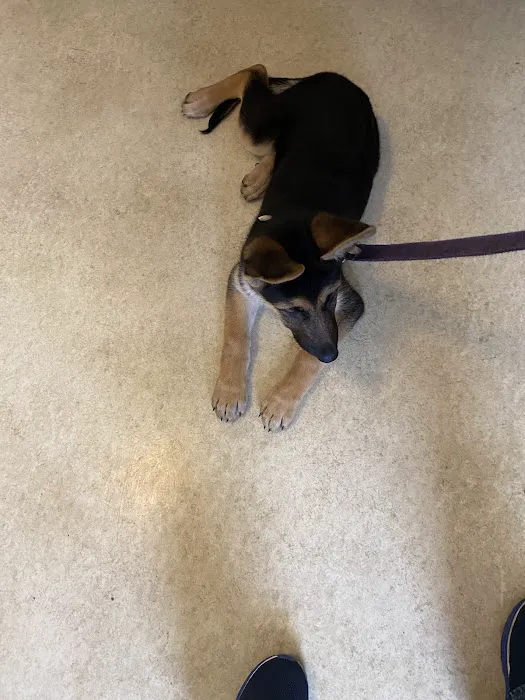 Cherokee County Animal Hospital Picture 8