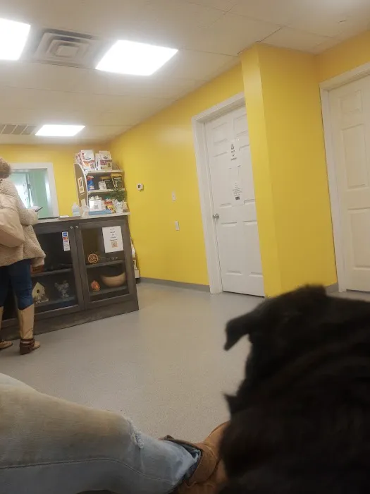 The Other Animal Hospital Picture 2