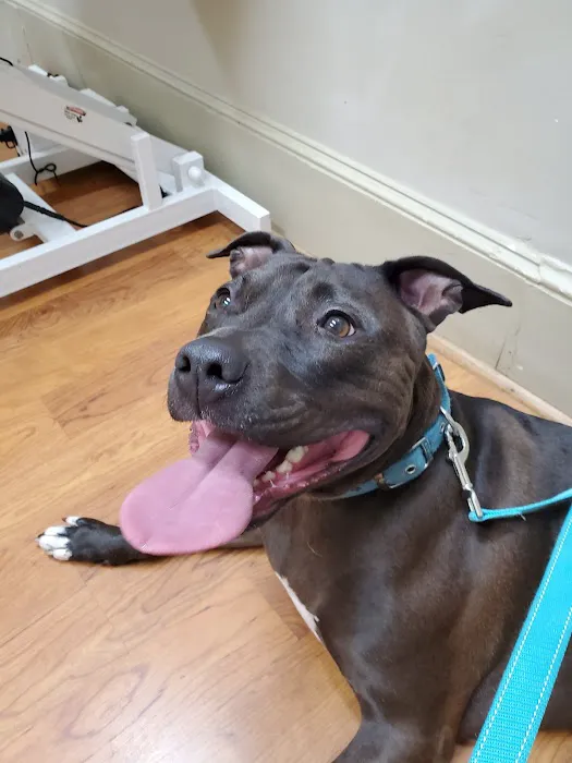 Paws & Purrs Animal Clinic Inc Picture 9