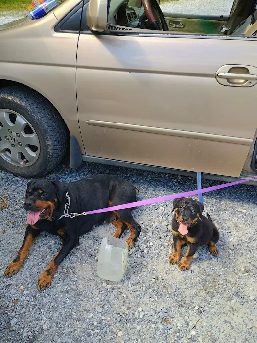 Circle M Animal Hospital Picture 3