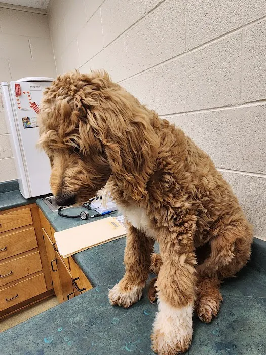 Circle M Animal Hospital Picture 1