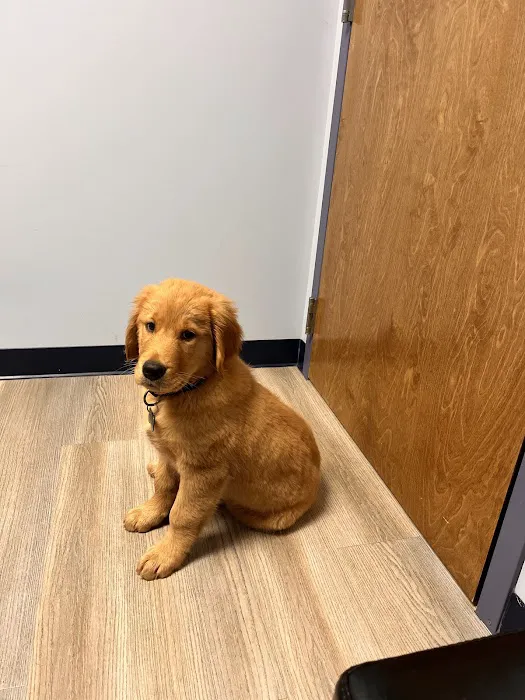 River Run Animal Hospital Picture 7