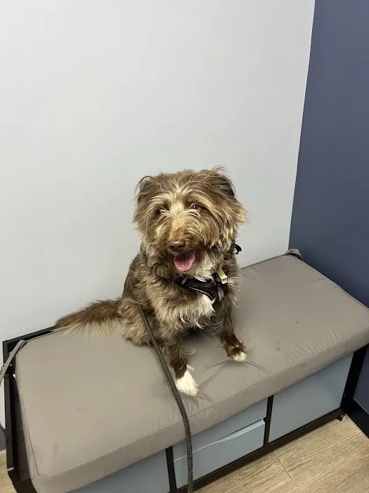 River Run Animal Hospital Picture 1