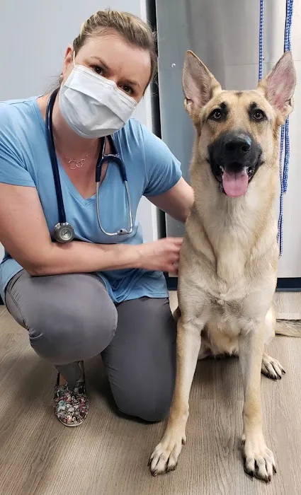 River Run Animal Hospital Picture 3