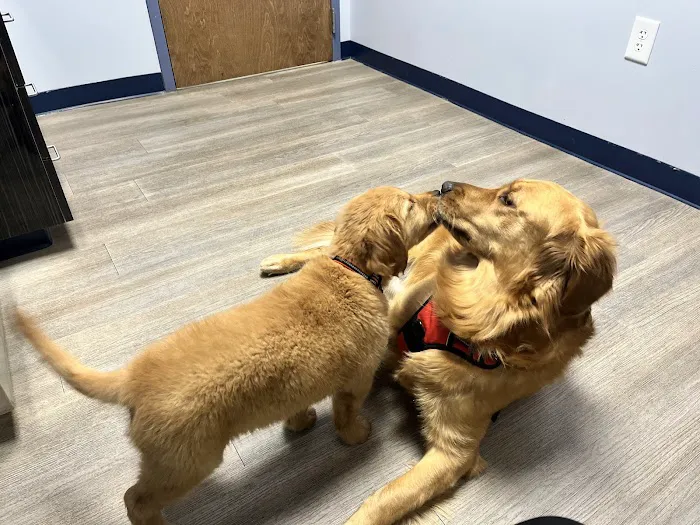 River Run Animal Hospital Picture 5