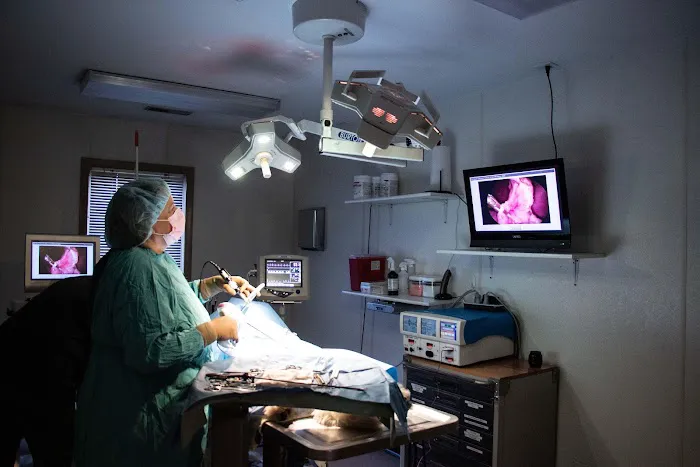 TotalBond Veterinary Hospital at Bethel Picture 9