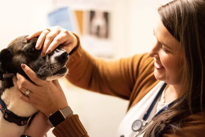 TotalBond Veterinary Hospital at Bethel Picture 5