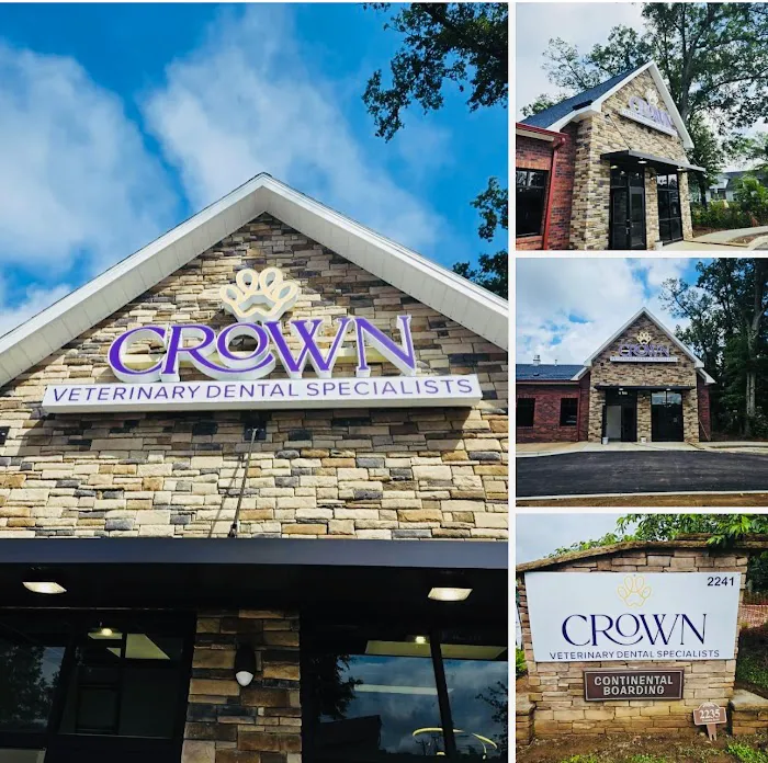 CROWN Veterinary Dental Specialists Picture 9