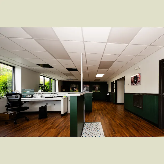 Epic Tails Veterinary Clinic Picture 10