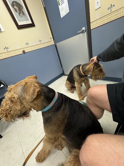 Epic Tails Veterinary Clinic Picture 6