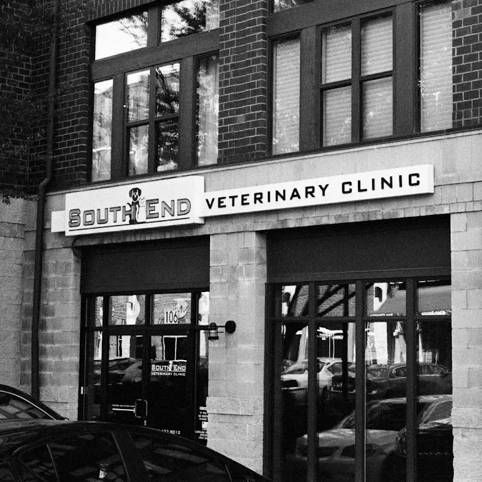 South End Veterinary Clinic Picture 10