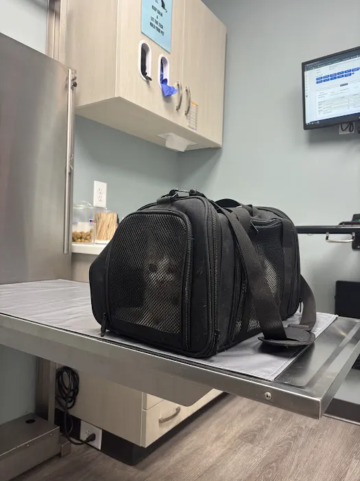 South End Veterinary Clinic Picture 6