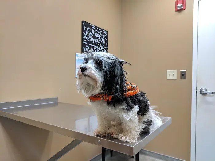 South End Veterinary Clinic Picture 5