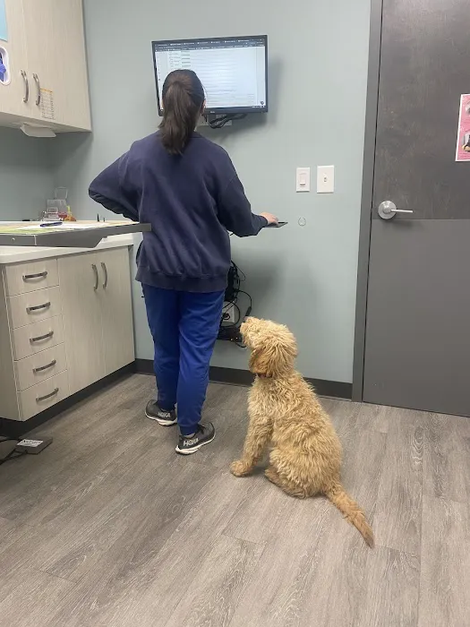 South End Veterinary Clinic Picture 1