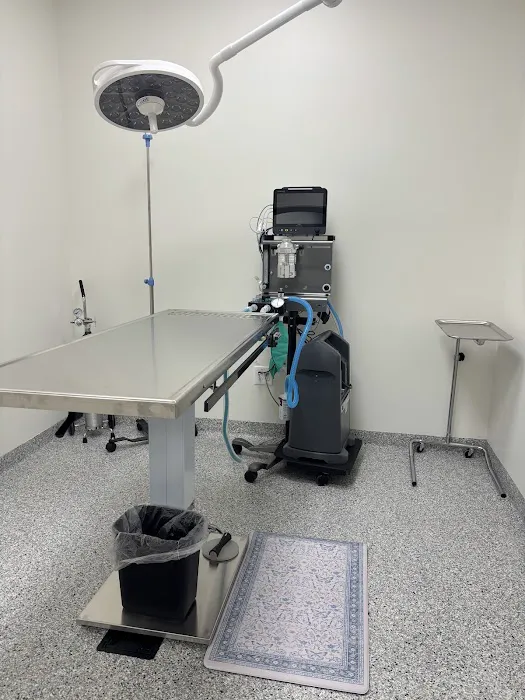 Charlotte Veterinary Hospital Picture 6