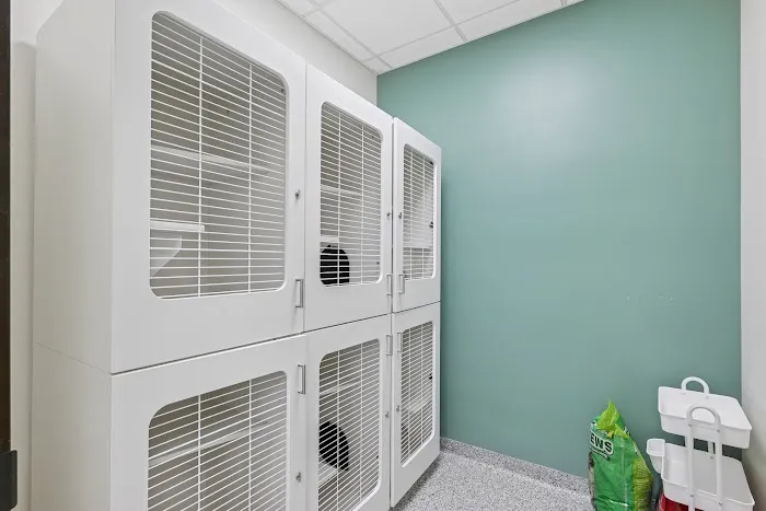 Charlotte Veterinary Hospital Picture 7