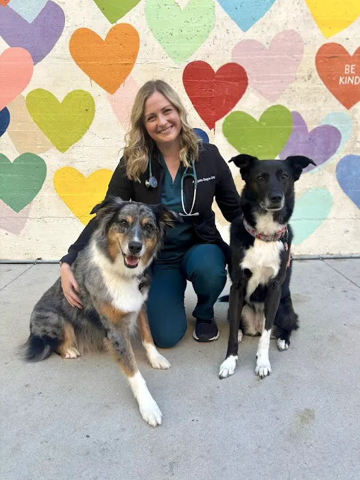 Charlotte Veterinary Hospital Picture 10