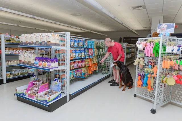 Long Animal Hospital and Emergency Center | Charlotte NC Picture 10