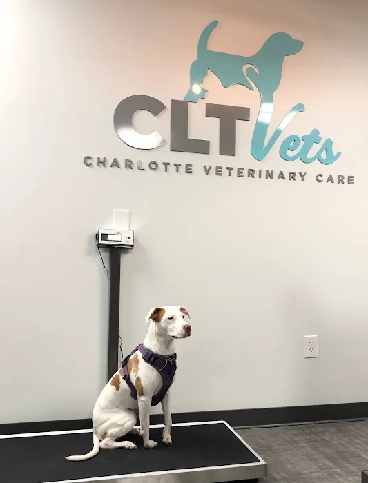 CLT Vets Picture 2