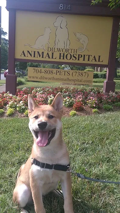 Dilworth Animal Hospital Picture 6