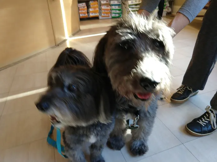 Dilworth Animal Hospital Picture 4