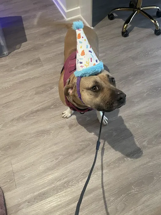 CityVet | Charlotte Uptown Veterinary Clinic & Urgent Care Picture 5