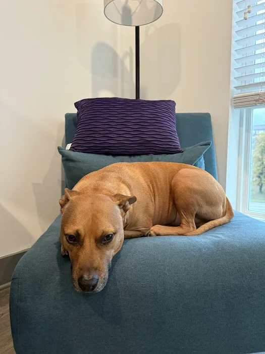 CityVet | Charlotte Uptown Veterinary Clinic & Urgent Care Picture 10
