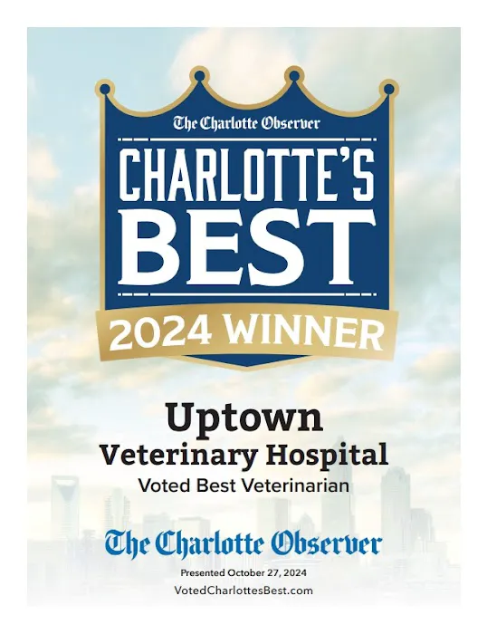 Uptown Veterinary Hospital Picture 4