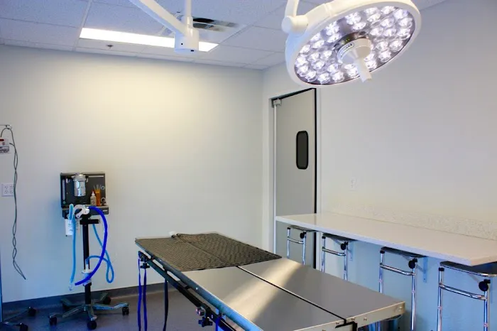 Uptown Veterinary Hospital Picture 1
