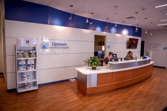 Uptown Veterinary Hospital Picture 10