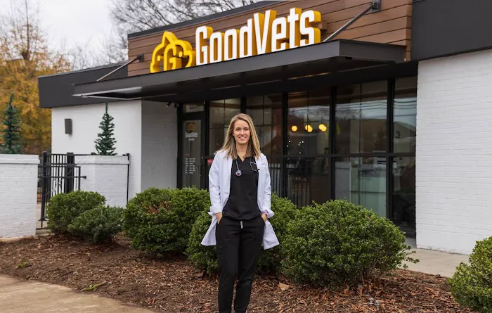 GoodVets Montford Picture 10