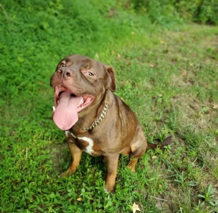 Archdale Animal Hospital Picture 10