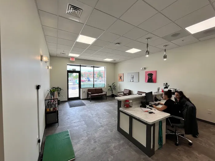 Crown Town Animal Hospital Picture 1