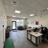 Crown Town Animal Hospital ico