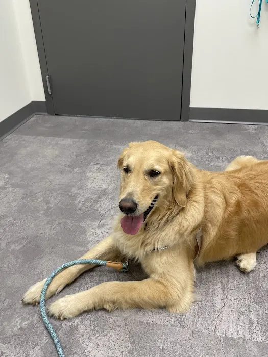 Crown Town Animal Hospital Picture 9
