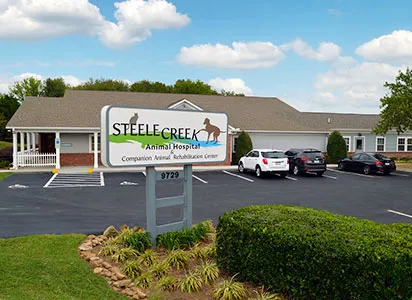 Steele Creek Animal Hospital Picture 2