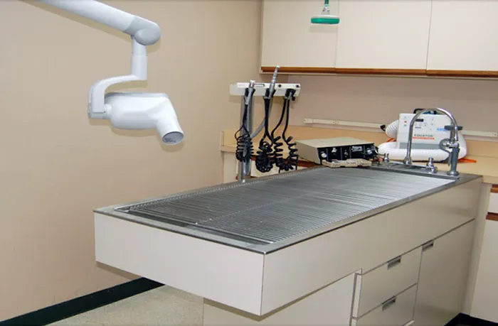 Steele Creek Animal Hospital Picture 7