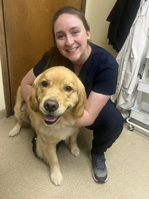 Steele Creek Animal Hospital Picture 5