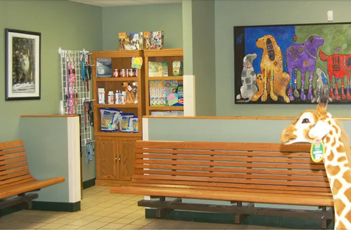 Steele Creek Animal Hospital Picture 6