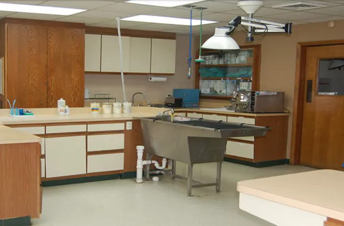 Steele Creek Animal Hospital Picture 9