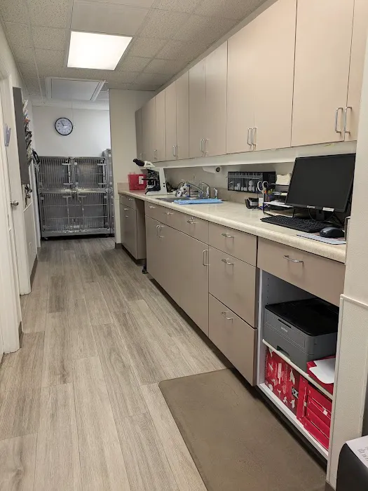 Hickory Grove Animal Hospital Picture 10