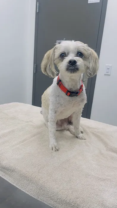 Partners Animal Hospital NoDa Picture 1
