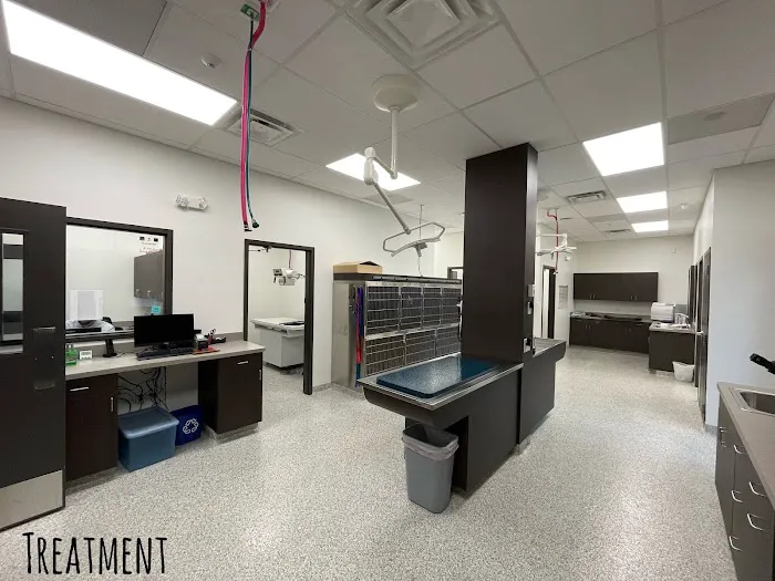 Partners Animal Hospital NoDa Picture 3